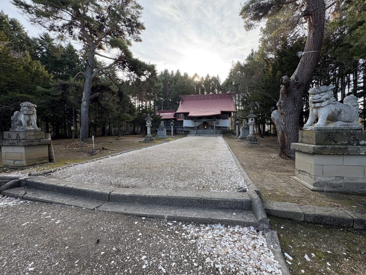 網走神社の拝殿へと続く参道。両脇に鎮座する狛犬と、網走特産のホタテの貝殻が真っ白に敷き詰められた珍しい参道の景色。
The approach to the main hall of Abashiri Jinja Shrine, featuring guardian lion-dogs (Komainu) and a unique path covered in white scallop shells.