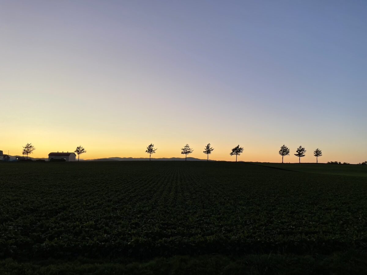 夕暮れ時の「メルヘンの丘」。オレンジから紺色へと変わるグラデーションの空を背景に、丘の上の木々が黒いシルエットとなって浮かび上がっている。左端には小さな建物が見え、静寂を感じさせるロマンチックな光景