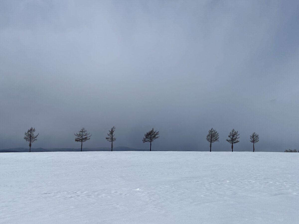 冬の「メルヘンの丘」。一面銀世界の雪原の向こうに、葉を落とした7本のカラマツが等間隔に並んでいる。空は淡いグレーの雪雲に覆われ、モノトーンに近い静謐で幻想的な冬の景色が広がっている