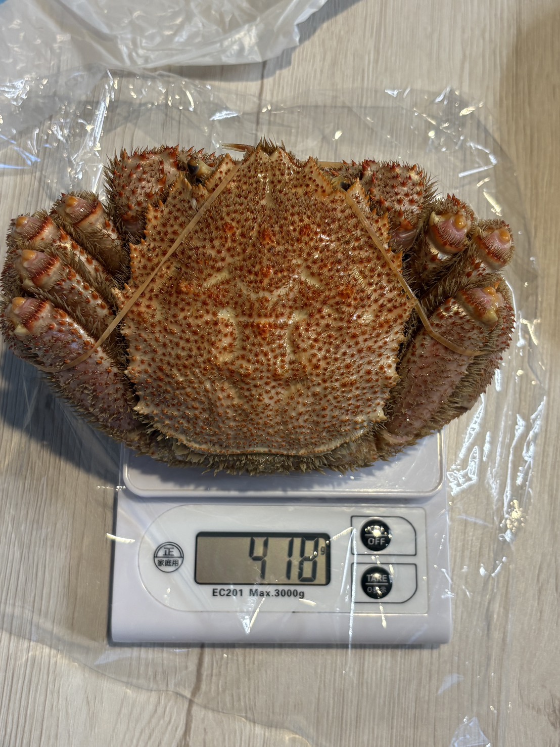 デジタルばかりの上で重さを量る網走産の流氷明け毛ガニ（418グラム）
Weighing a fresh Abashiri hairy crab on a digital kitchen scale showing 418 grams.