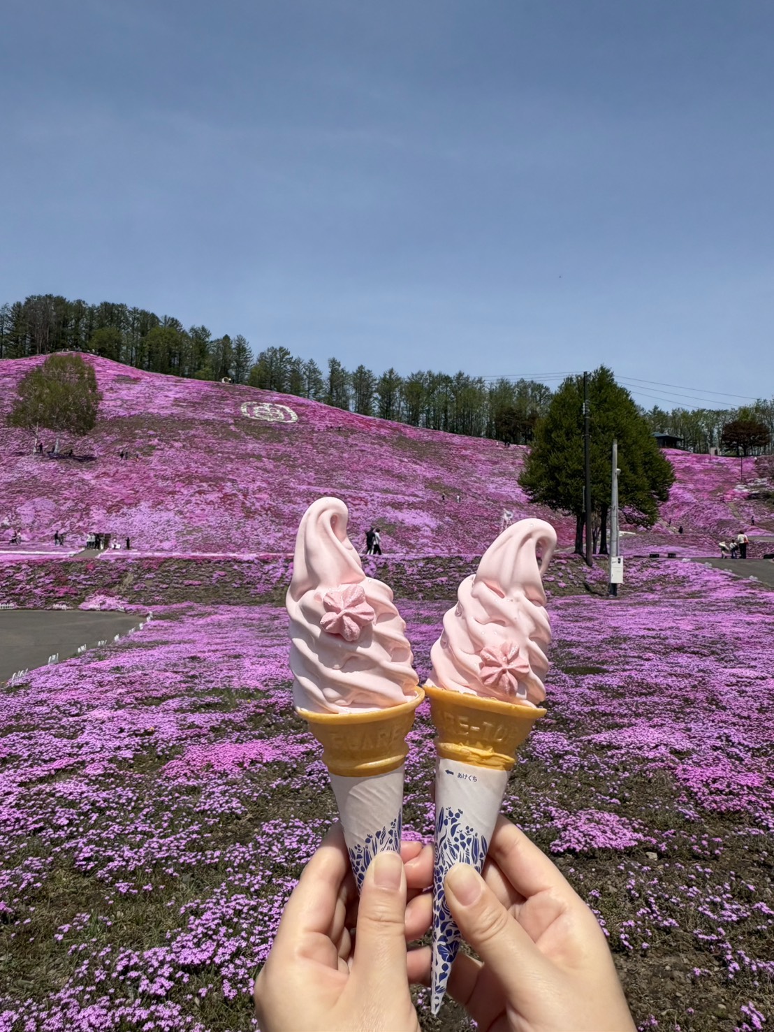 ひがしもこと芝桜公園の満開の芝桜をバックに、2本のピンク色の芝桜ソフトクリームを掲げている様子