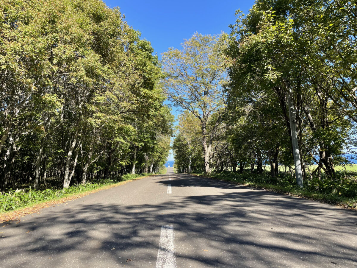 木々のトンネルから差し込む木漏れ日が美しい、能取岬へ続く爽やかなドライブロード
Scenic and refreshing drive road leading to Cape Notoro surrounded by beautiful tree tunnels and sunlight