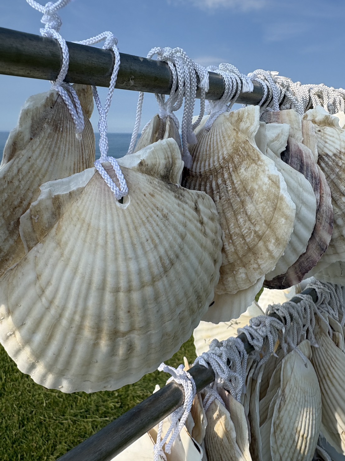 網走ならではのホタテ貝殻で作られた「ホタテ貝の絵馬」のクローズアップ
Close-up of unique "scallop shell ema" votive plaques at Cape Notoro in Abashiri