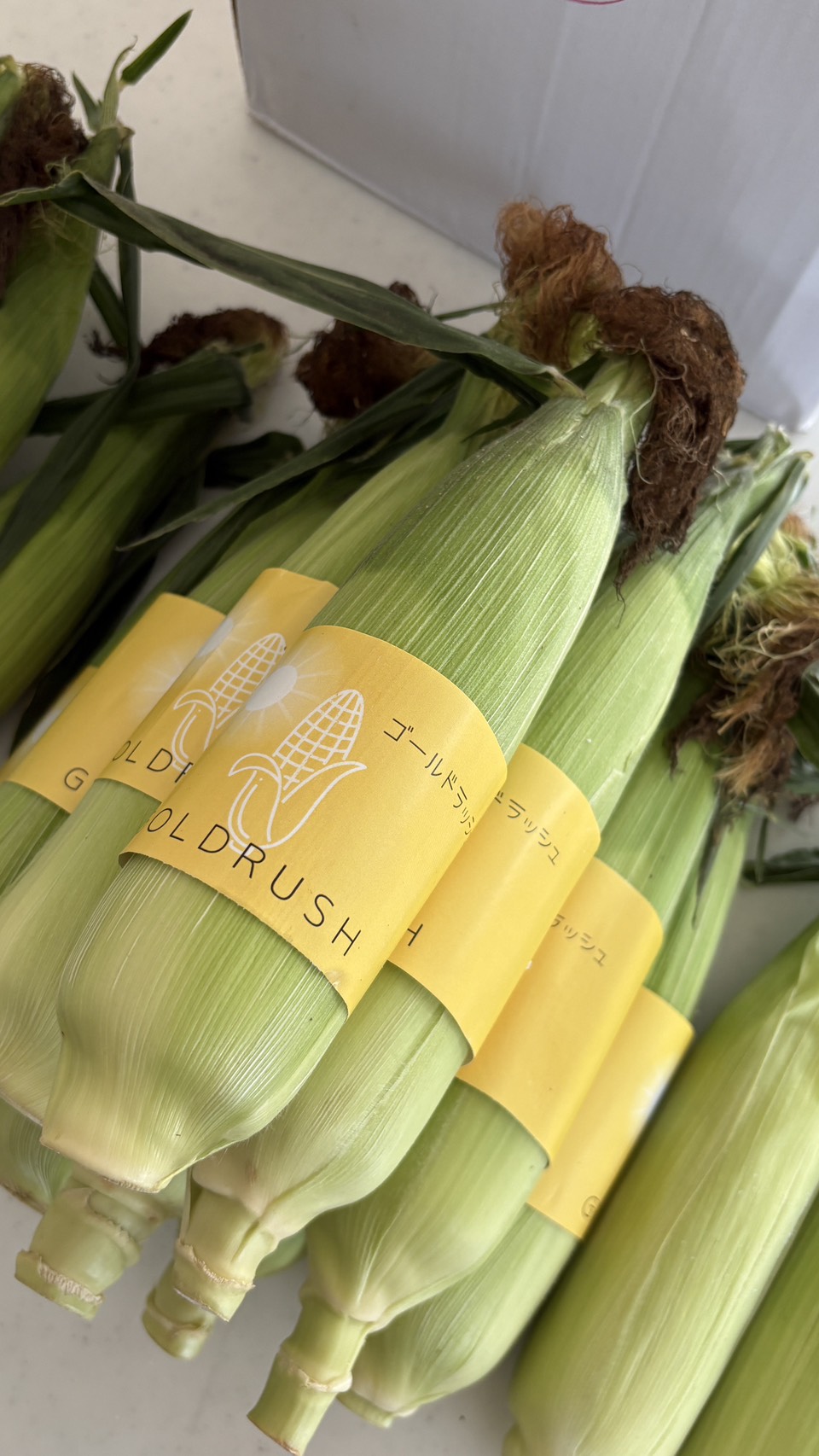 専用の黄色のラベルが巻かれた、収穫したての網走産ゴールドラッシュ（トウモロコシの束）
wrapped with a yellow product label