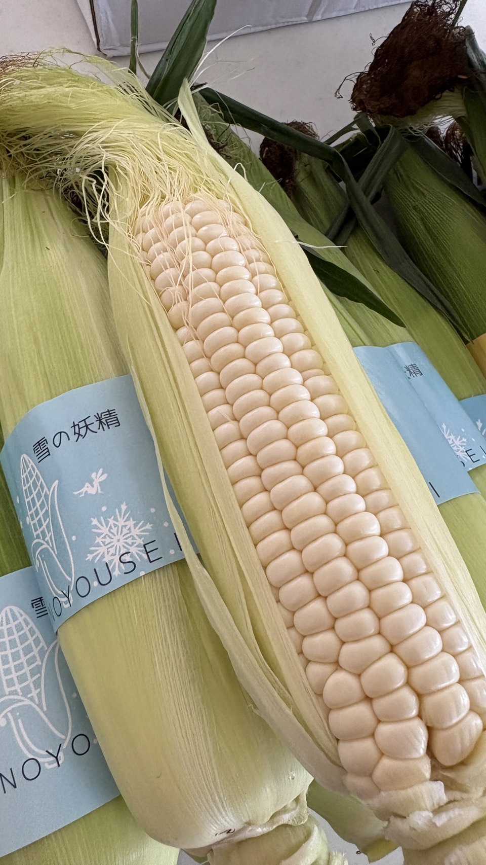 真っ白で美しい粒と瑞々しい絹糸が覗く、網走産白いトウモロコシ「雪の妖精」のアップ
Close-up of pure white kernels and fresh silk on an Abashiri "Snow Fairy" white corn ear