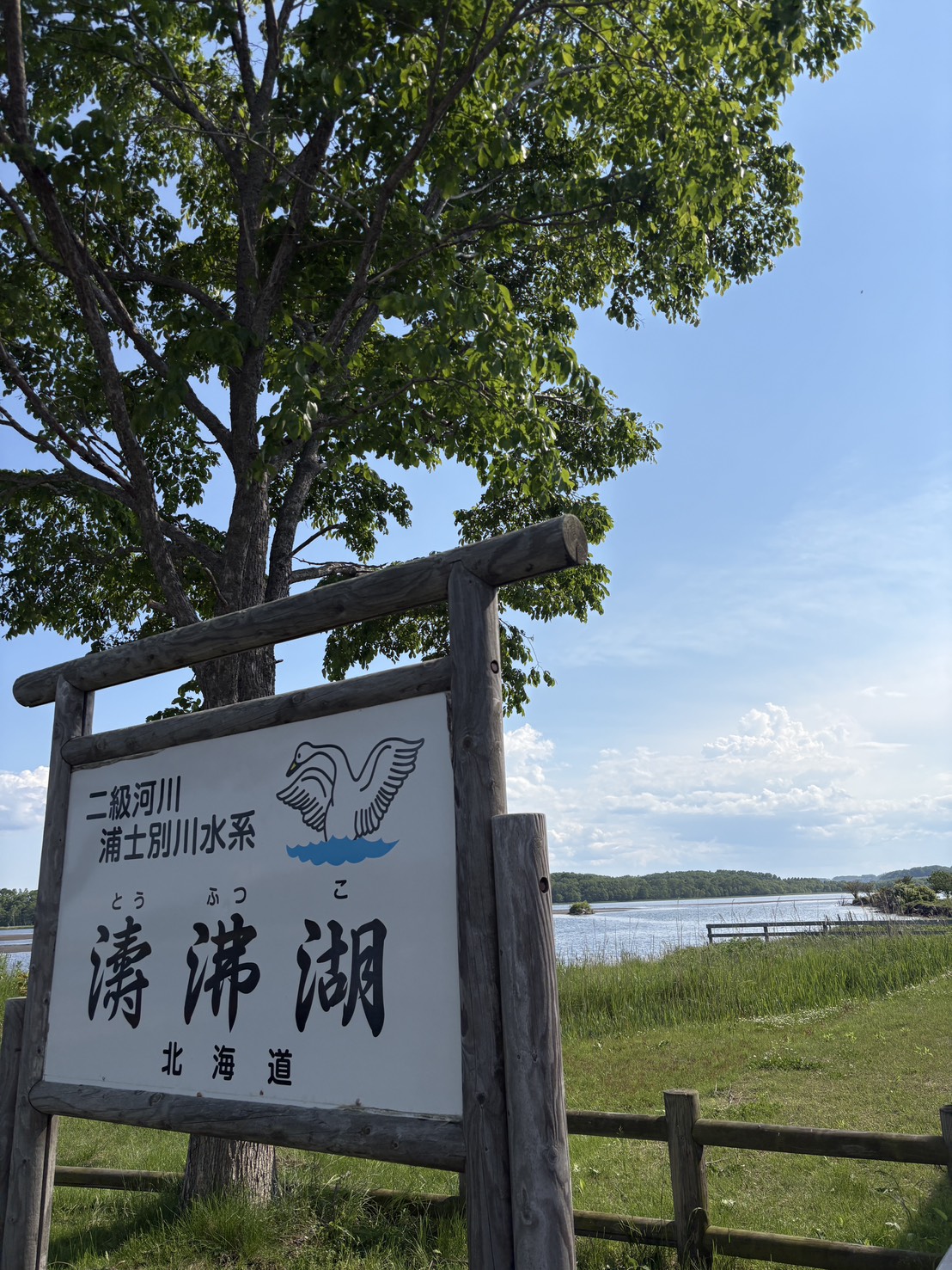網走市・濤沸湖周辺の自然や生き物を紹介する現地案内看板とイラスト表示。
Official information board and illustration map introducing the nature and wildlife around Lake Tofutsu in Abashiri.