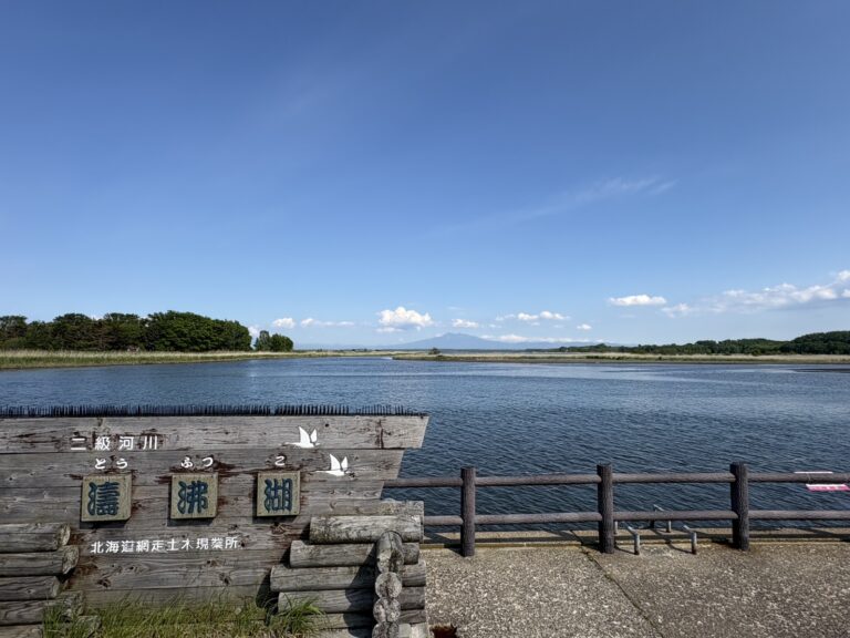 濤沸湖の広大な湿地帯と青空、遠くに望む山並みのパノラマ自然景観。 Panoramic landscape of Tofutsu-ko wetland with blue sky and distant mountain ranges in Abashiri.