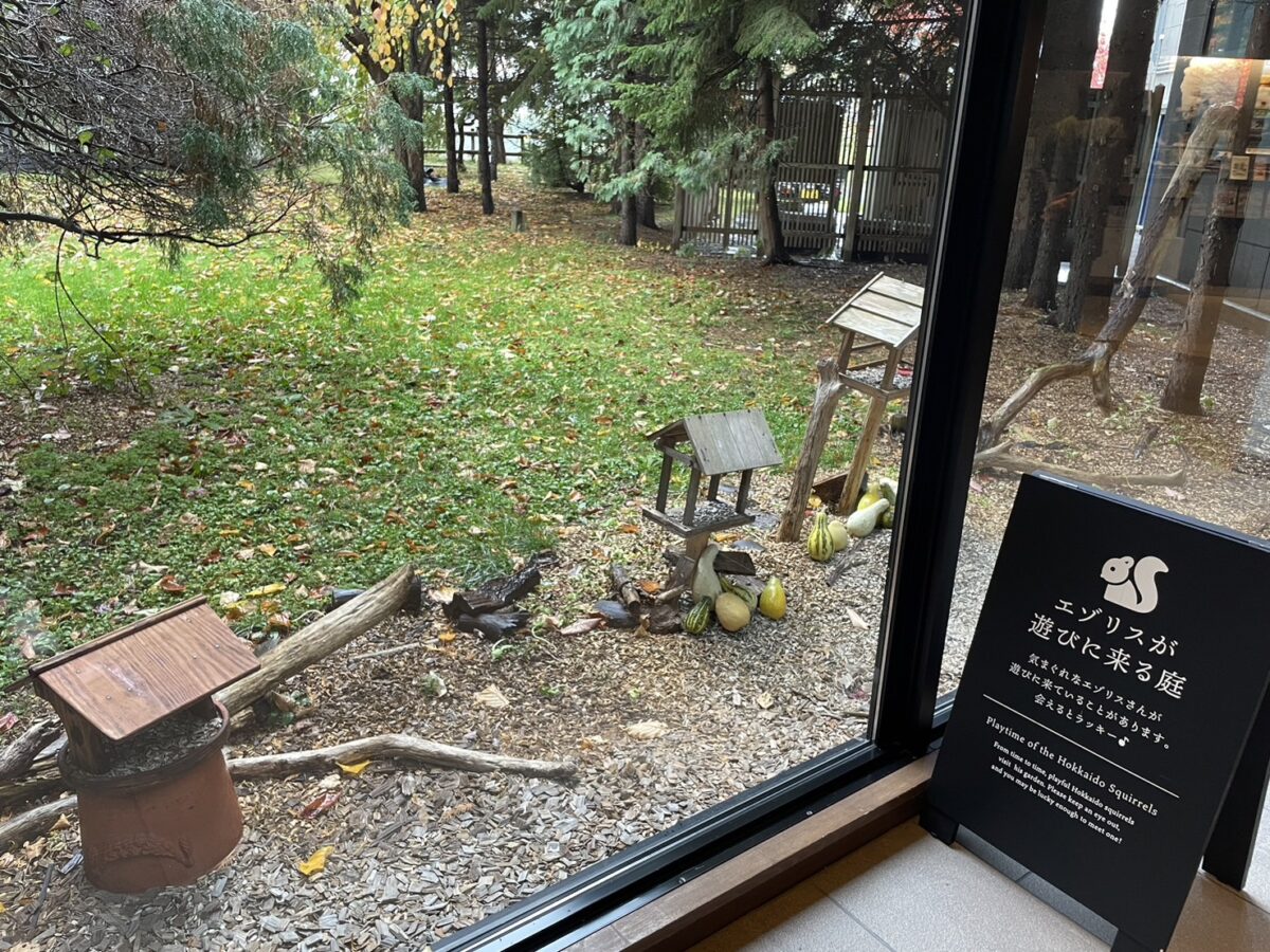 エサ台が置かれ、野生のエゾリスが訪れる自然豊かなホテルの庭
Natural garden with feeding stations where wild squirrels occasionally visit at Tsuruga Resort