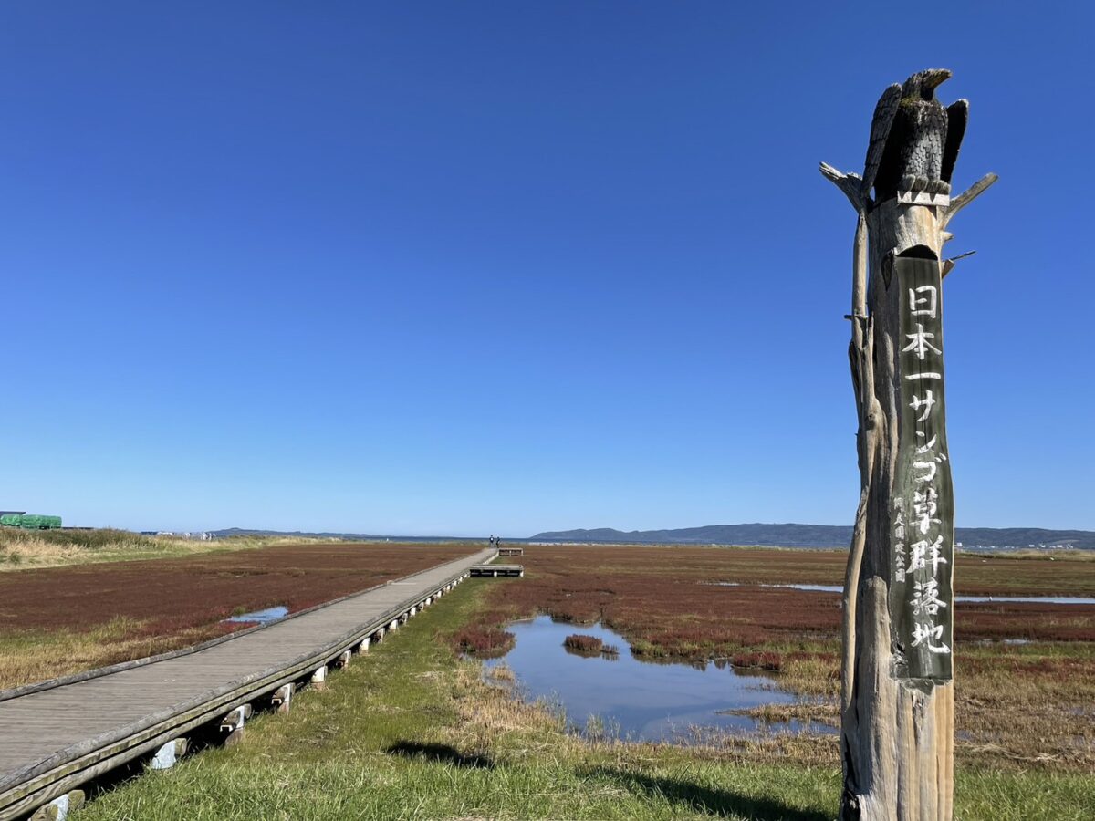 てっぺんに鷲の彫刻が飾られた「日本一サンゴ草群落地」の大きな木製看板と秋の能取湖畔
Wooden monument sign reading "Japan's #1 Coral Grass Colony" with an eagle carving at Lake Notoro
